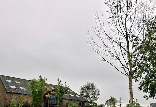 de tuin
