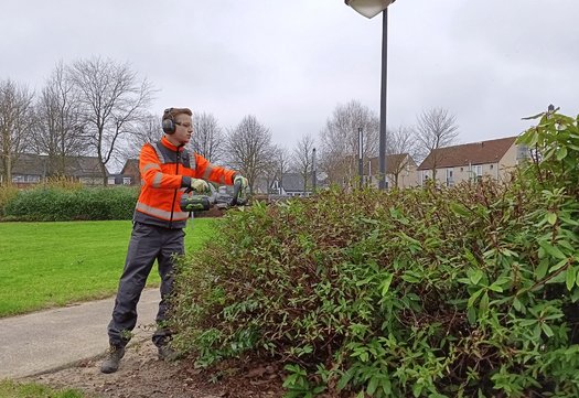 Persoon snoeit de heg