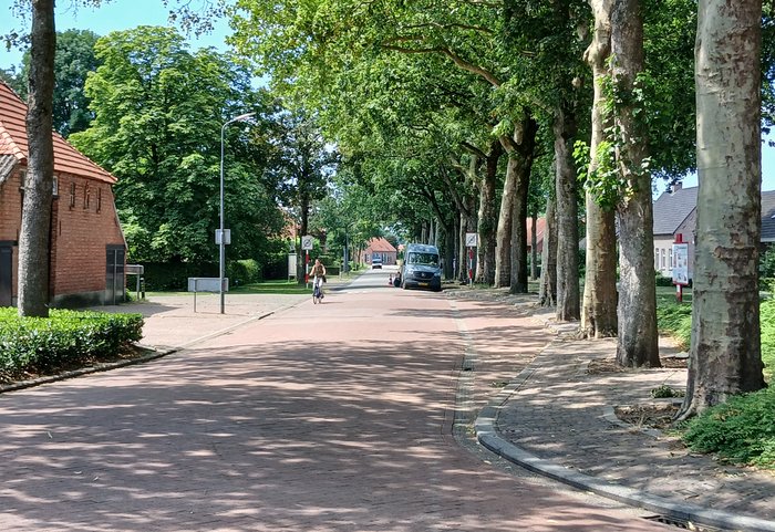 De weg Loveren