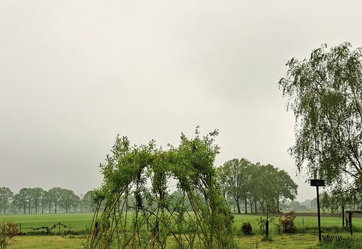 de tuin